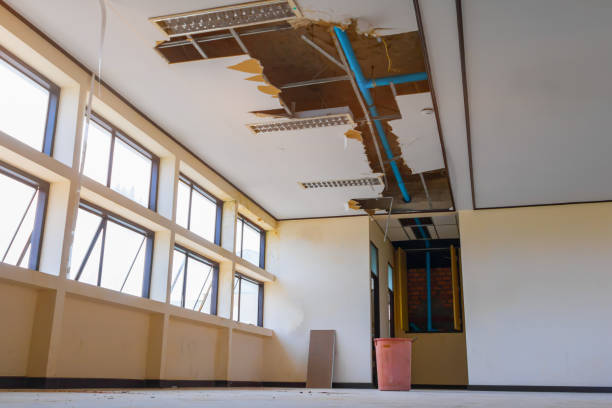 Best Water damage restoration mold remediation  in Warren, IN