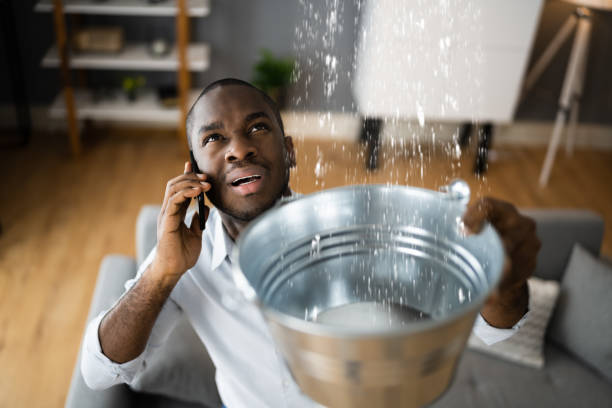 Best Basement water damage restoration  in Warren, IN