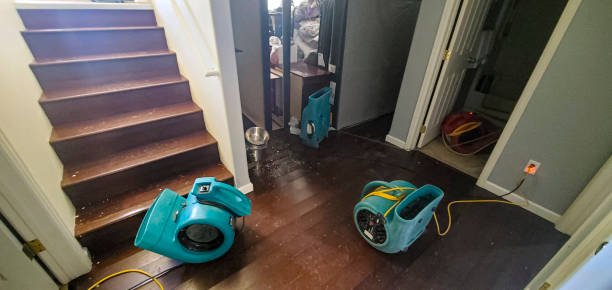 Best Mold removal after water damage  in Warren, IN