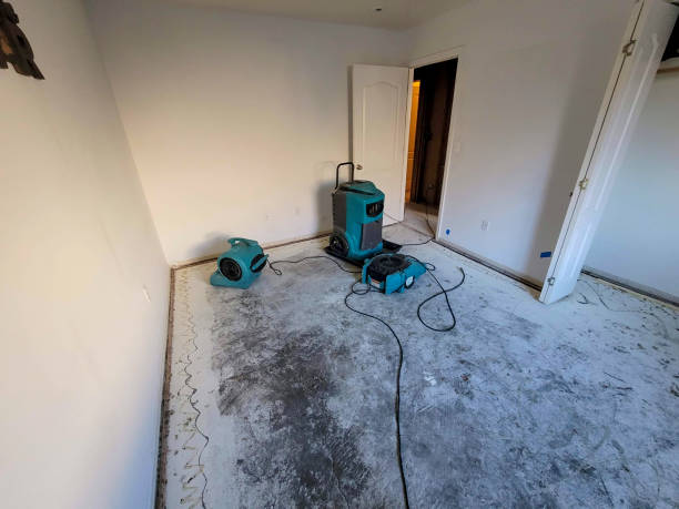 Best Flood restoration services  in Warren, IN