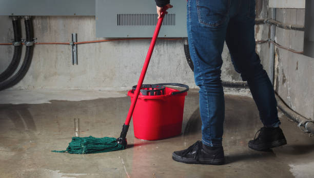 Best Water damage restoration services  in Warren, IN