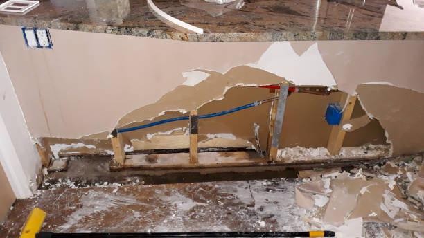 Best Carpet water damage restoration  in Warren, IN