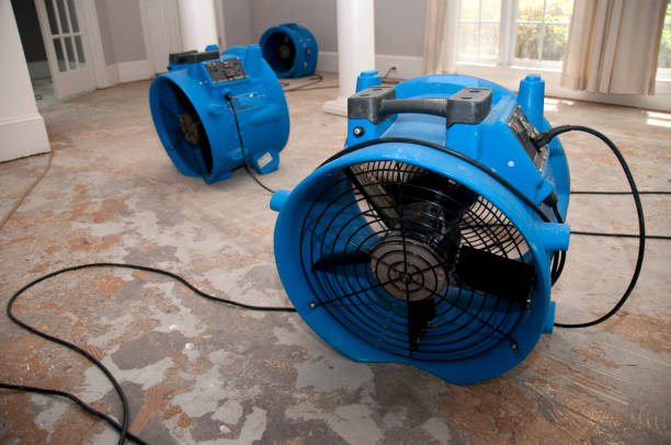 Best Fire Damage Restoration  in Warren, IN