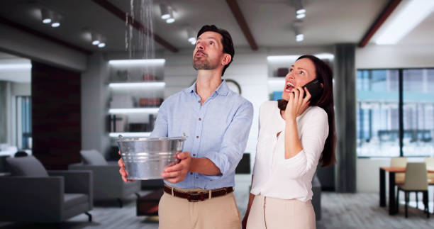 Best Water damage repair service  in Warren, IN